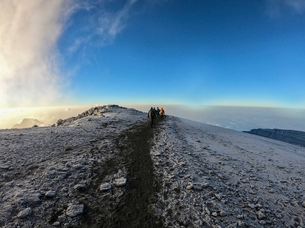 Maricky's Safaris - kilimanjaro trekk/marickys safaris kilimanjaro summit trail