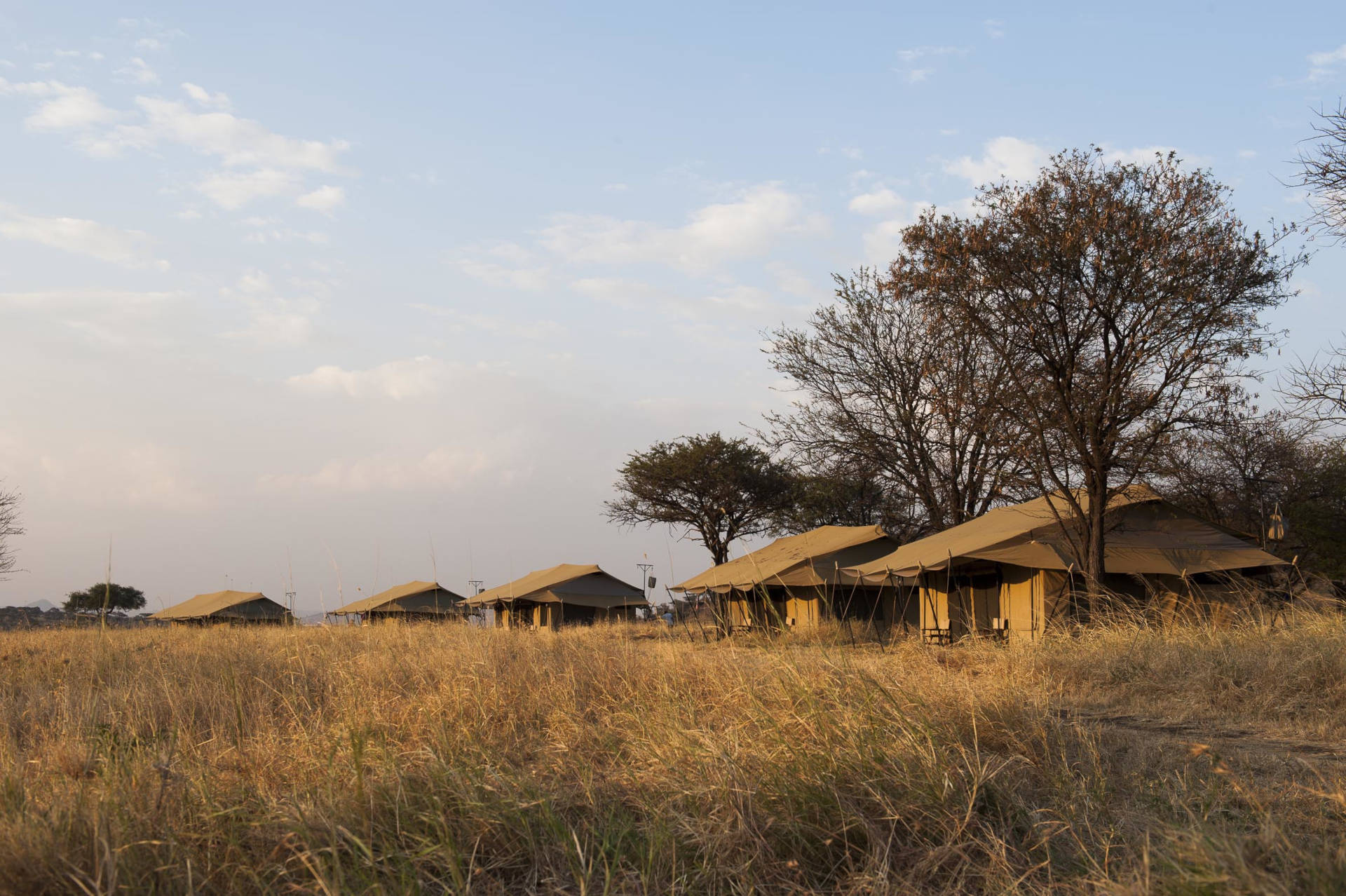 Maricky's Safaris - Package Camp layout in Bologonya - Serengenti National Park.