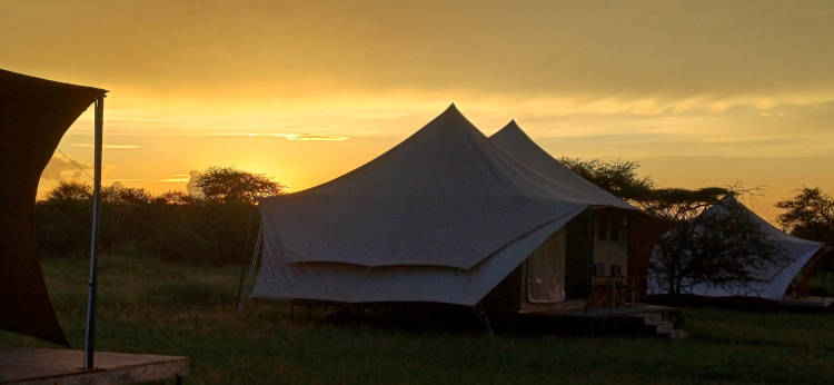 Maricky's Safaris - migrations footsteps and hadzabe hunting/marickys safaris sleeping tents