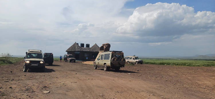 Maricky's Safaris - migrations footsteps and hadzabe hunting/marickys safaris welcome hut serengeti