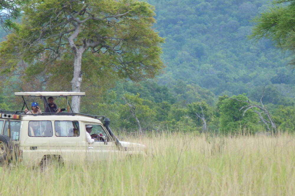 Maricky's Safaris - mikumi national park/marickys safaris mikumi landscape