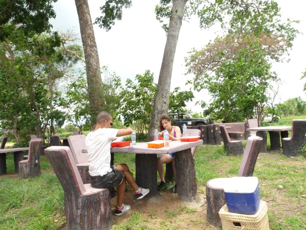 Maricky's Safaris - mikumi national park/marickys safaris mikumi picnic